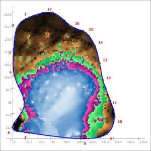 A sonic tomograph shows hard and soft spots in the trunk of "Emma's willow," a mature weeping willow on the Ashbridge estate. Image courtesy of Urban Forest Innovations