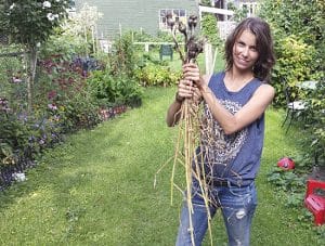 Erin Spencer, host and star of the food gardening web series Dirty Girl, with garlic harvested from her East Danforth area garden. Below left, beets, carrots, eggplant, and more, harvested from her typical East End backyard. PHOTO: Submitted