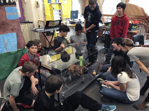 Glen Ames students test the PetPortion prototype ahead of competition.