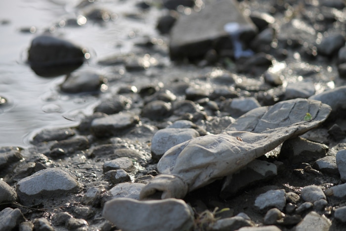 PHOTO: Jennifer Taylor