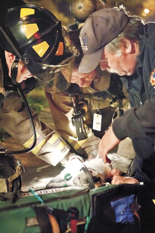 No injuries in fire on Kingston Rd.