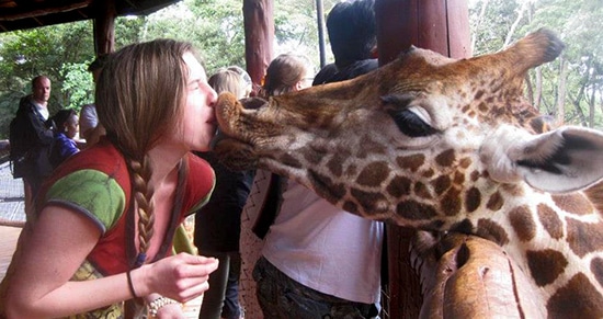 Mariah Campbell gets up close and personal with a giraffe during a break from recent field research in Nairobi, Kenya. PHOTO: Submitted