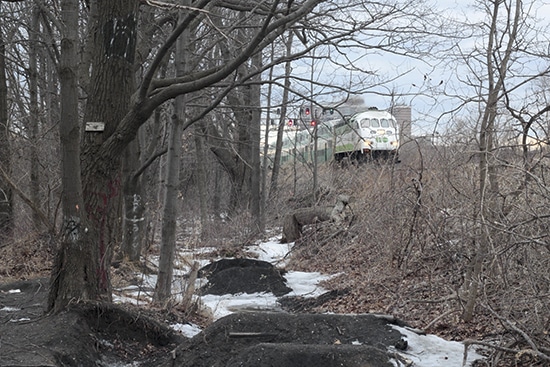 The section of the quarry lands that runs alongside the rail line will be part of new parkland. PHOTO: Andrew Hudson
