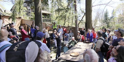 Arborist Todd Irvine and homeowner Art Wood explain how Wood's deck was built to protect the mature oak trees in the backyard of his home bordering the Glen Stewart Ravine on May 4. PHOTO: Andrew Hudson