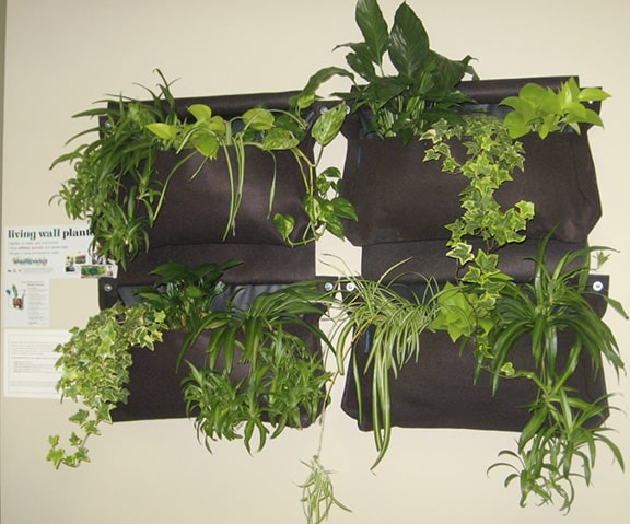 enviro-BBH_Living Wall.2-web