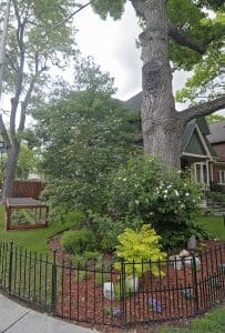 This oak stands over a flower bed and, in the background, a vegetable patch protected from hungry wildlife. PHOTO: Jon Muldoon