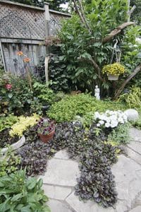 garden views-Lee Avenue garden-5099