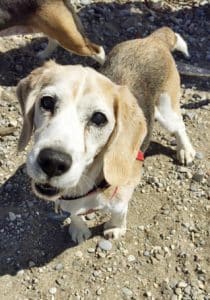 Patrick on the Beach. PHOTO: Courtesy Marna Gale