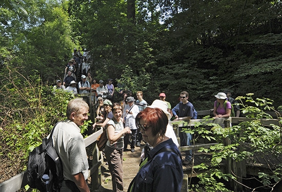 The short boardwalk running through the northernmost Small’s Creek ravine could barely hold about 50 people who walked the creek’s course on July 20. PHOTO: Jon Muldoon