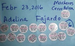 Monarch butterfly tags recovered in Mexico. PHOTO: courtesy Terry Whittam