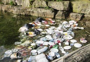 wild side- garbage IMG_1949